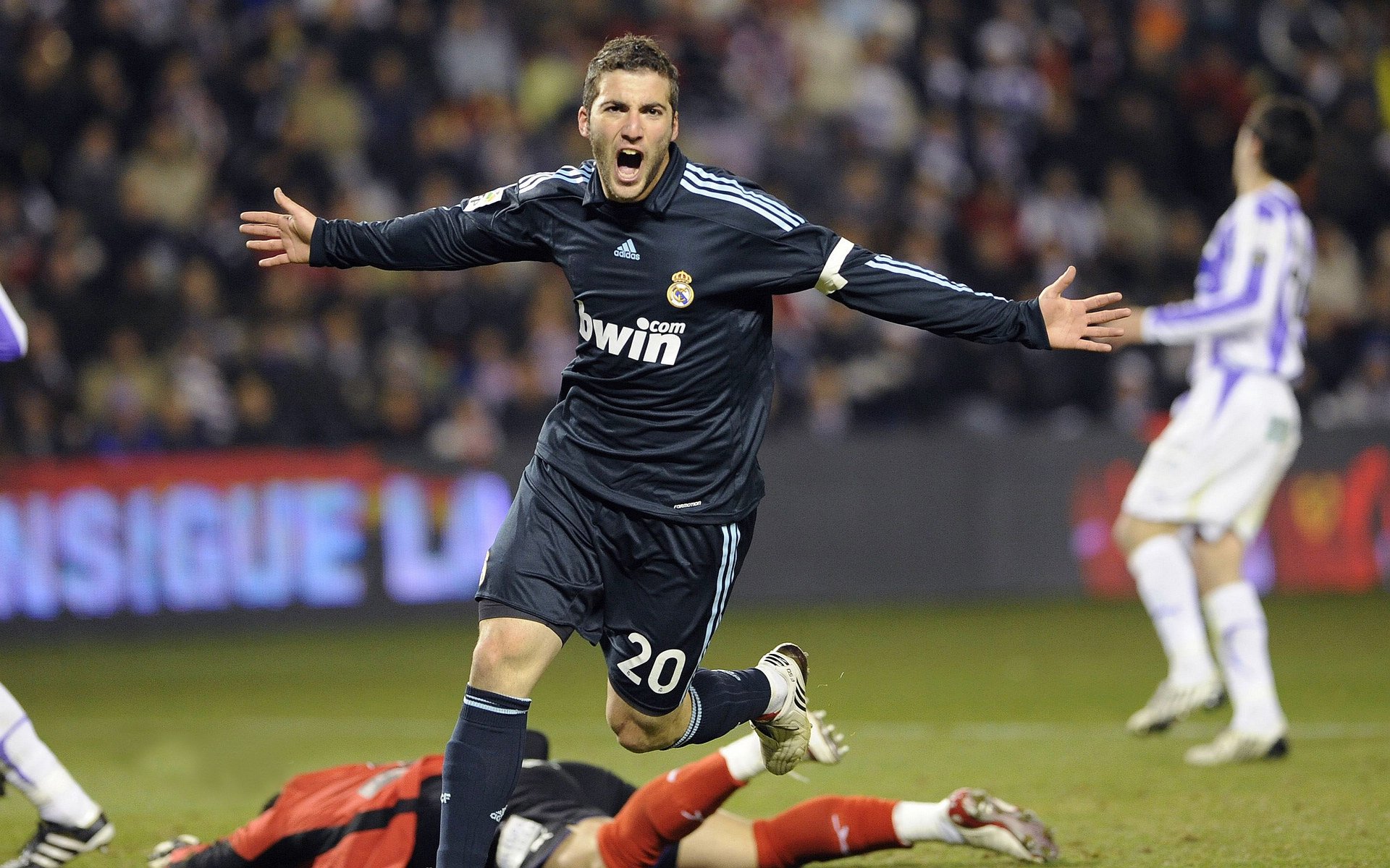 体育焦点人物专题深度解析,体育聚焦