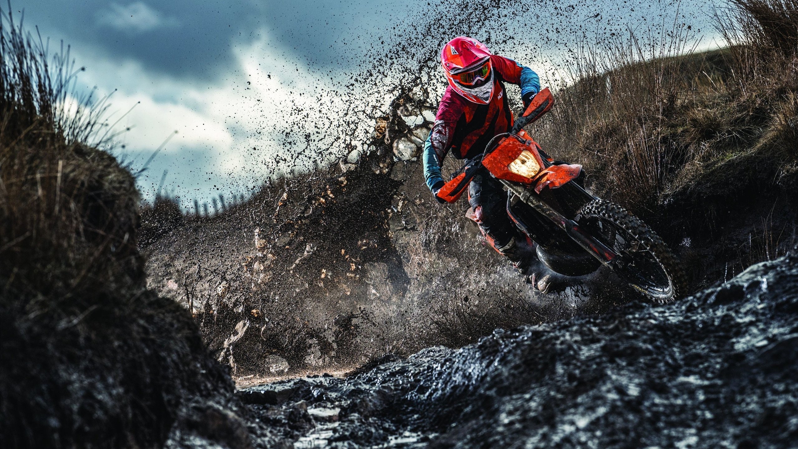 中立代表队B表现出色引发媒体关注